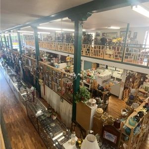 Meet your Posher, Bailey